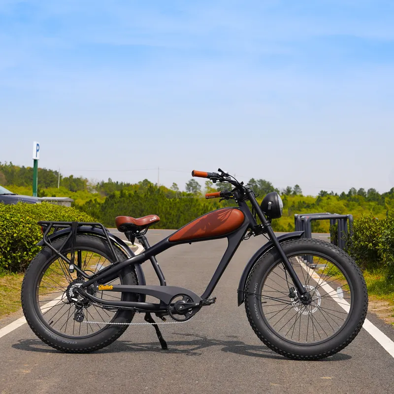 OEM 750W Hot Electric Vintage  - Road Bike Tire ulasan dan harga