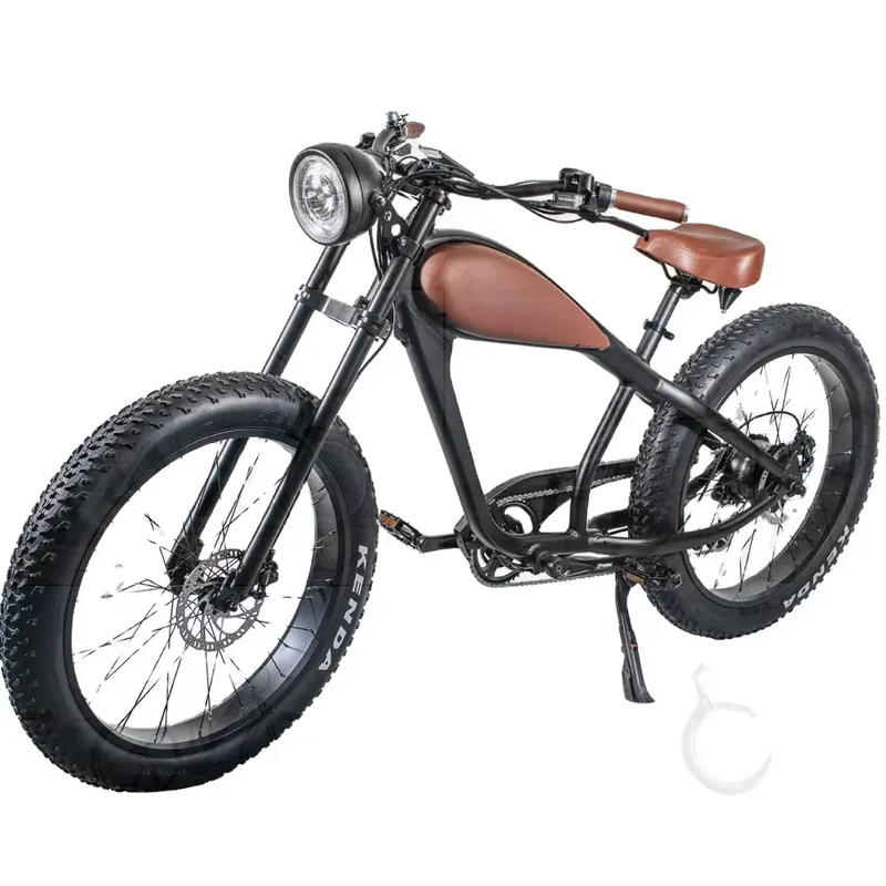 OEM 750W Hot Electric Vintage  - Road Bike Tire ulasan dan harga